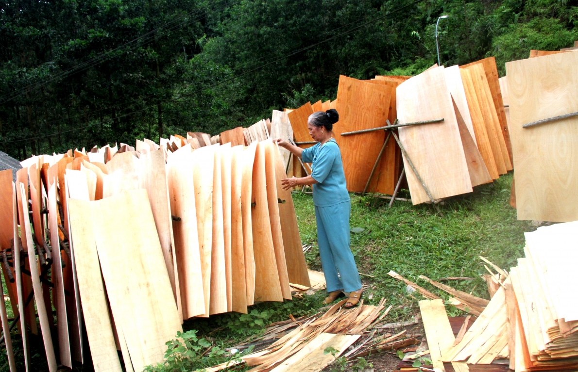 Mô hình NCT làm kinh tế giỏi huyện Yên Sơn, tỉnh Tuyên Quang