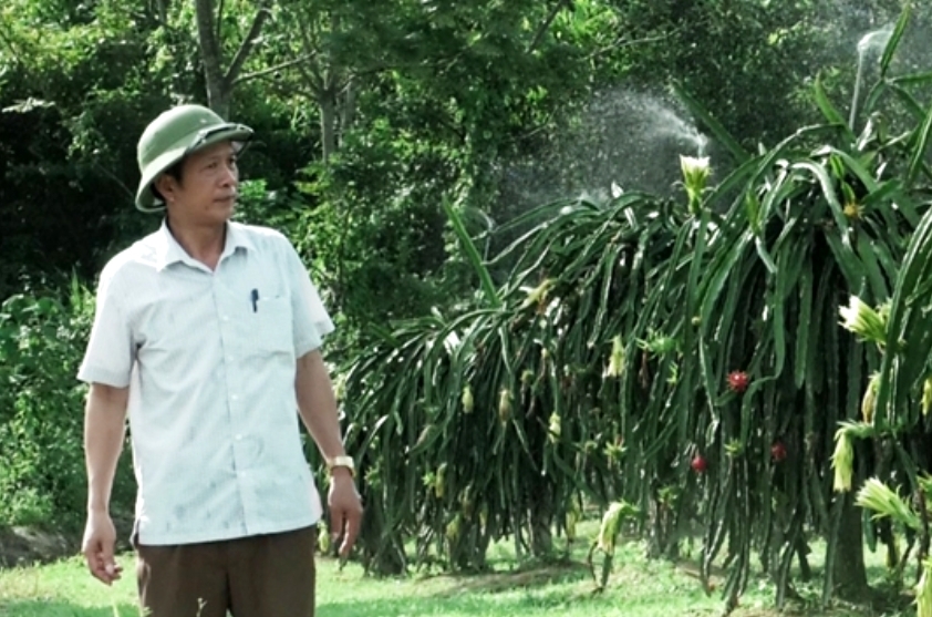 Mô hình trồng thanh long ruột đỏ cho giá trị kinh tế cao của NCT huyện Đức Thọ, tỉnh Hà Tĩnh Mô hình trồng thanh long ruột đỏ cho giá trị kinh tế cao của NCT huyện Đức Thọ, tỉnh Hà Tĩnh
