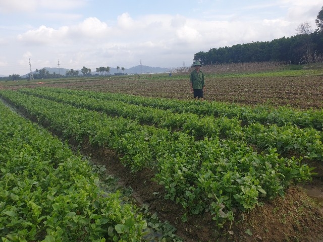 Làng Ngưa Thôn- Đại Bản: Những thành quả sau 5 năm sáp nhập làng