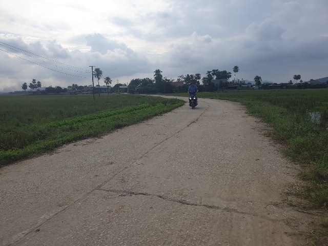 Làng Ngưa Thôn- Đại Bản: Những thành quả sau 5 năm sáp nhập làng