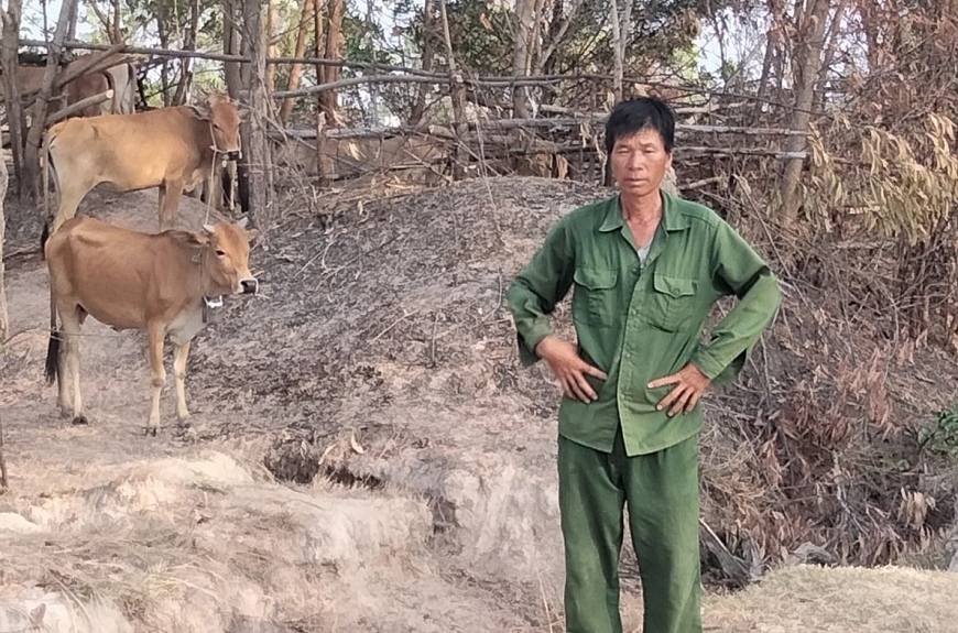 Ông Cầm Bá Bình đang chăm hai con bò vừa được trao tặng
