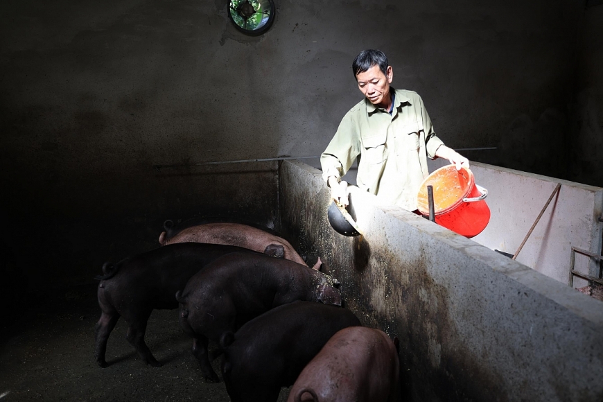 Đổi thay tích cực nhờ vốn vay không lãi suất cho phụ nữ có hoàn cảnh khó khăn tại Lào Cai