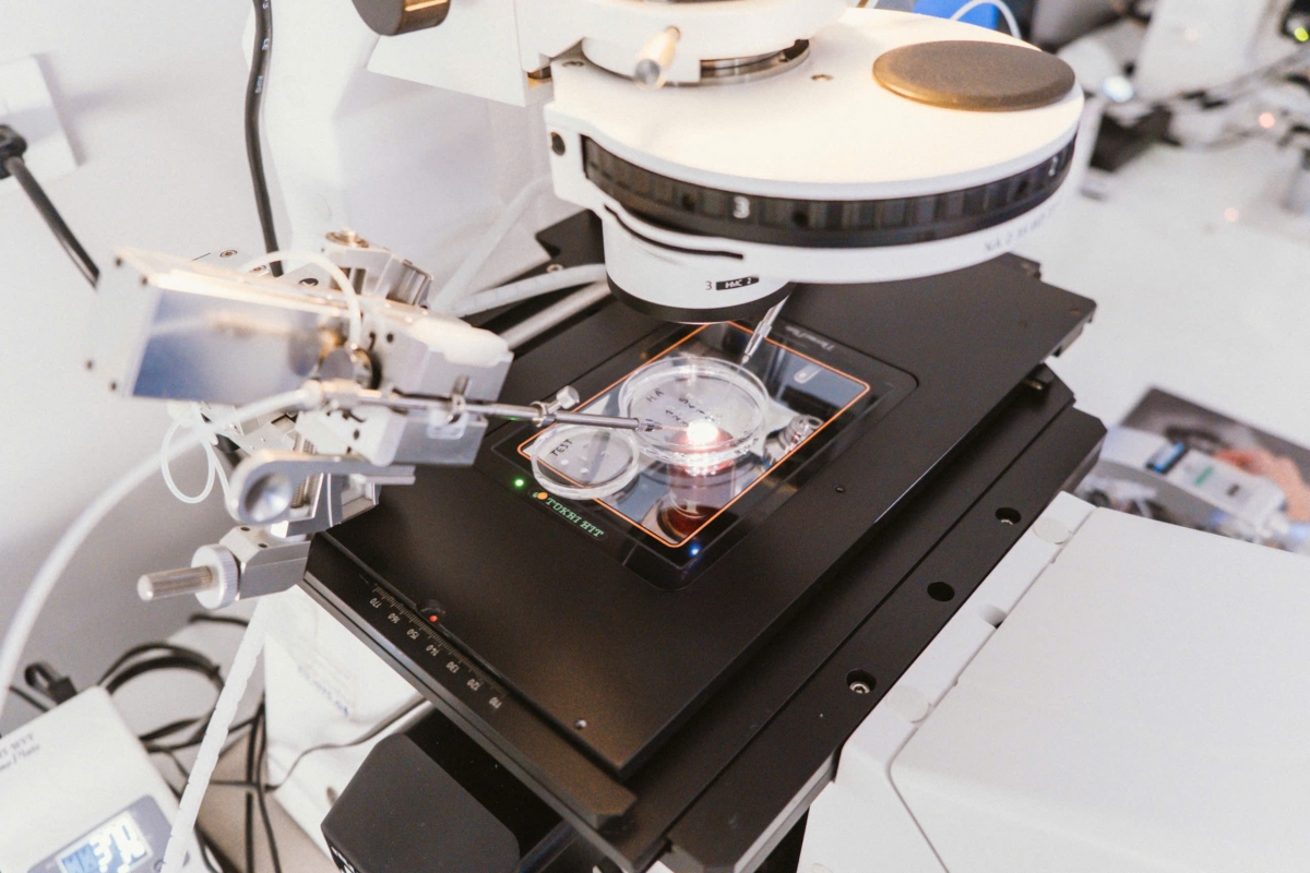 Hải Phòng: “Mê mẩn” với mô hình bệnh viện khách sạn năm sao