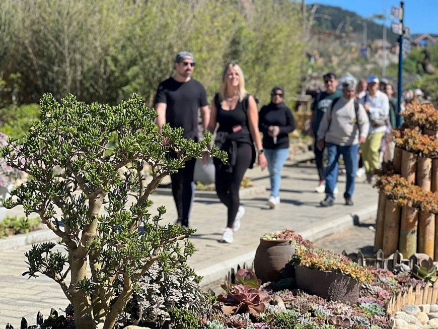 Fansipan tưng bừng Lễ hội hoa sen đá trong mùa săn mây đẹp nhất năm